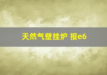 天然气壁挂炉 报e6